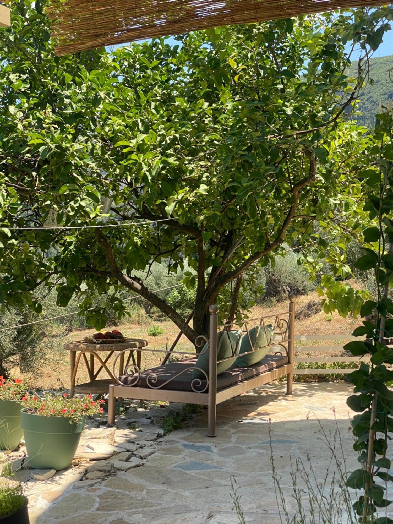Dinateli Houses - Live Like A Local In Corfu Kastellanoi  Esterno foto